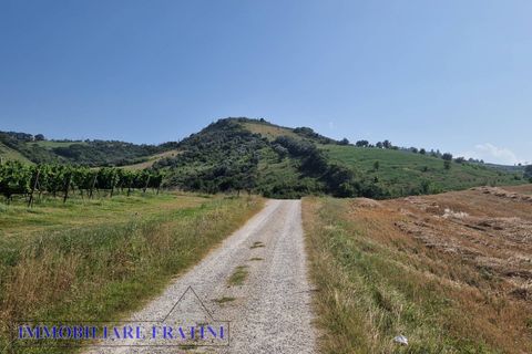 Landejendom i Controguerra, Teramo, Controguerra - € 149.000 | Ref: RD0062 - foto 21