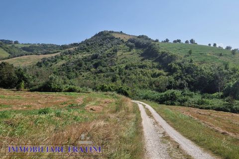 Landejendom i Controguerra, Teramo, Controguerra - € 149.000 | Ref: RD0062 - foto 22