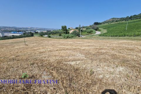 Landejendom i Controguerra, Teramo, Controguerra - € 149.000 | Ref: RD0062 - foto 24