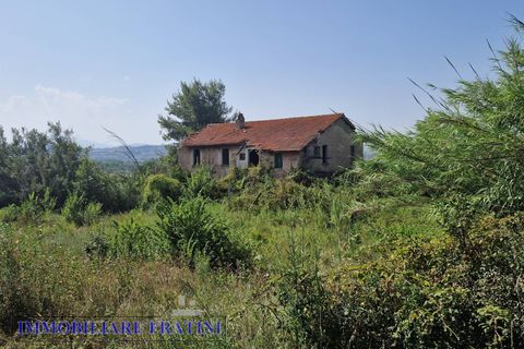 Landejendom i Controguerra, Teramo, Controguerra - € 149.000 | Ref: RD0062 - foto 25