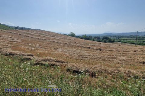 Landejendom i Controguerra, Teramo, Controguerra - € 149.000 | Ref: RD0062 - foto 28