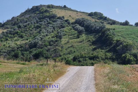 Landejendom i Controguerra, Teramo, Controguerra - € 149.000 | Ref: RD0062 - foto 30