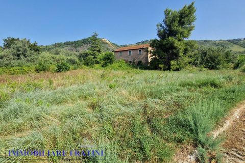Landejendom i Controguerra, Teramo, Controguerra - € 149.000 | Ref: RD0062 - foto 31