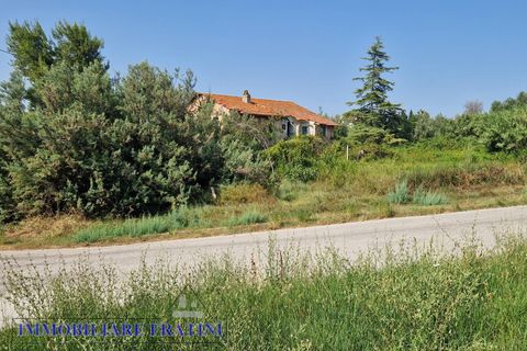 Landejendom i Controguerra, Teramo, Controguerra - € 149.000 | Ref: RD0062 - foto 33
