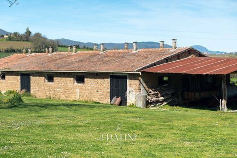 Landejendom i Matelica, Macerata, Matelica - € 1.830.000 | Ref: RB0021Lux - foto 23