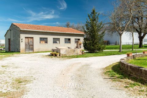 Landejendom i Matelica, Macerata, Matelica - € 1.830.000 | Ref: RB0021Lux - foto 37