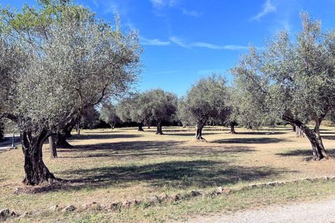 Villa a Pitigliano, Grosseto, Pitigliano - € 490.000 | Ref: 385 - foto 4