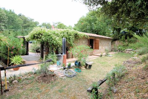 Landejendom i Roccastrada, Grosseto, Roccastrada - € 340.000 | Ref: 538 - foto 13