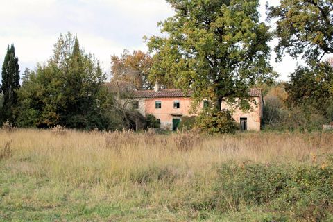 Landejendom i Altopascio, Lucca, Altopascio - € 250.000 | Ref: 590 - foto 4