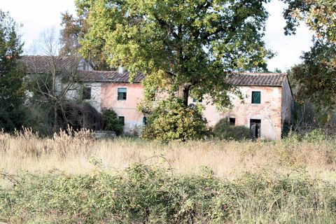 Landejendom i Altopascio, Lucca, Altopascio - € 250.000 | Ref: 590 - foto 5