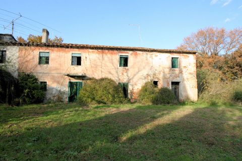 Landejendom i Altopascio, Lucca, Altopascio - € 250.000 | Ref: 590 - foto 6