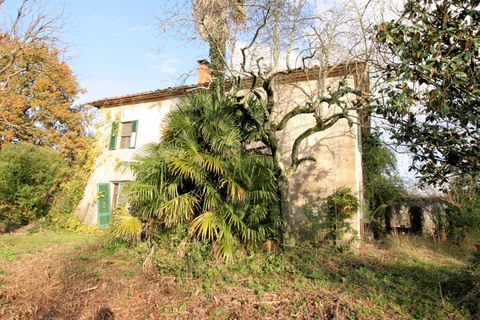 Landejendom i Altopascio, Lucca, Altopascio - € 250.000 | Ref: 590 - foto 7