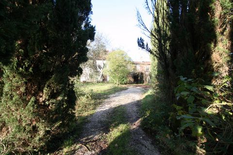 Landejendom i Altopascio, Lucca, Altopascio - € 250.000 | Ref: 590 - foto 8