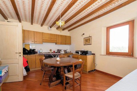 Landejendom i Lajatico, Pisa, Lajatico - € 3.700.000 | Ref: 626 - foto 15