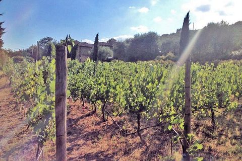 Landejendom i Cortona, Arezzo, Cortona - € 1.200.000 | Ref: 758 - foto 12