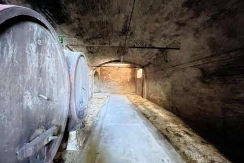 Villa i Capannoli, Pisa, Capannoli - € 420.000 | Ref: 784 - foto 18