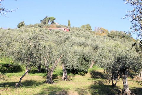 Villa i Massarosa, Lucca, Massarosa - € 1.200.000 | Ref: 832 - foto 12