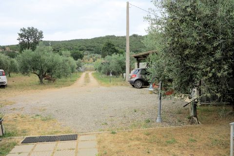 Herregård i Massa Marittima, Grosseto, Massa Marittima - € 450 000 | Ref: 901 - foto 7
