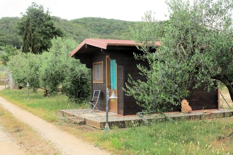 Herregård i Massa Marittima, Grosseto, Massa Marittima - € 450 000 | Ref: 901 - foto 9