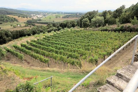 Landejendom i Massa Marittima, Grosseto, Massa Marittima - € 1.250.000 | Ref: 905 - foto 3