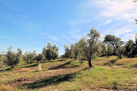 Landejendom i Roccastrada, Grosseto, Roccastrada - € 390.000 | Ref: 937 - foto 5