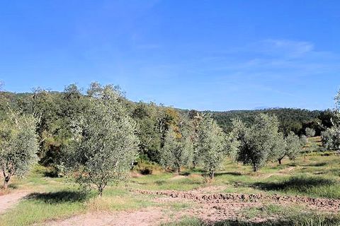 Landejendom i Roccastrada, Grosseto, Roccastrada - € 390.000 | Ref: 937 - foto 13