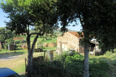 Landejendom i Gavorrano, Grosseto, Gavorrano - € 450.000 | Ref: 1041 - foto 4