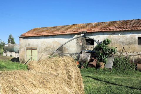 Landejendom i Gavorrano, Grosseto, Gavorrano - € 450.000 | Ref: 1041 - foto 7