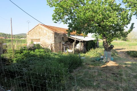 Landejendom i Gavorrano, Grosseto, Gavorrano - € 450.000 | Ref: 1041 - foto 8