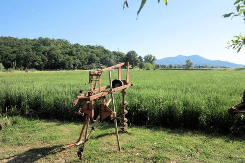 Landejendom i Gavorrano, Grosseto, Gavorrano - € 450.000 | Ref: 1041 - foto 12
