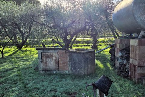 Landejendom i Scarlino, Grosseto, Scarlino - € 149.000 | Ref: 1089 - foto 9