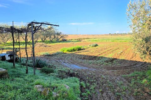 Landejendom i Scarlino, Grosseto, Scarlino - € 149.000 | Ref: 1089 - foto 10