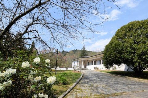 Villa i Camaiore, Lucca, Camaiore - € 520.000 | Ref: 1153 - foto 1