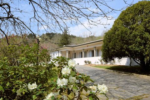 Villa i Camaiore, Lucca, Camaiore - € 520.000 | Ref: 1153 - foto 20
