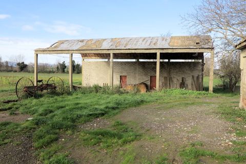 Landejendom i Roccastrada, Grosseto, Roccastrada - € 290.000 | Ref: 1184 - foto 6