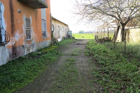 Landejendom i Roccastrada, Grosseto, Roccastrada - € 290.000 | Ref: 1184 - foto 7