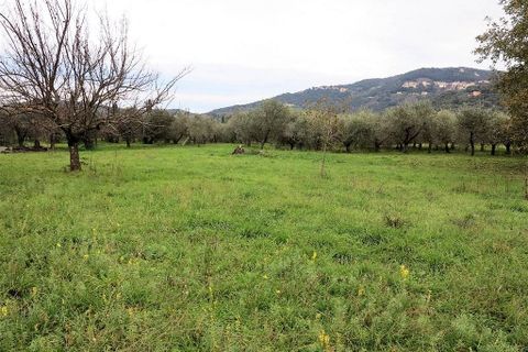 Landejendom i Gavorrano, Grosseto, Gavorrano - € 130.000 | Ref: 1193 - foto 3