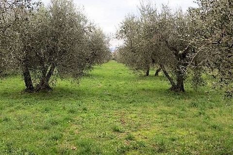 Landejendom i Gavorrano, Grosseto, Gavorrano - € 130.000 | Ref: 1193 - foto 6