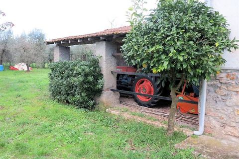 Landejendom i Gavorrano, Grosseto, Gavorrano - € 130.000 | Ref: 1193 - foto 12