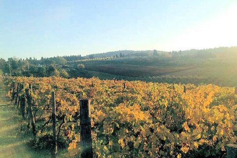 Landejendom i Grosseto, Grosseto, Grosseto - € 3.600.000 | Ref: 1214 - foto 1