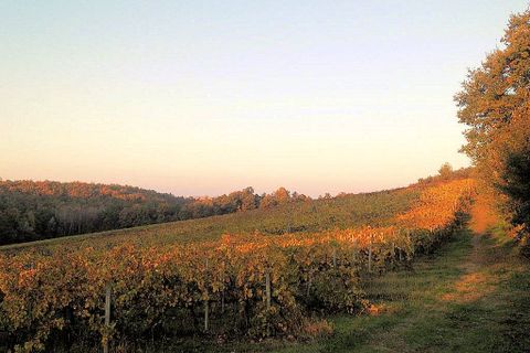 Landejendom i Grosseto, Grosseto, Grosseto - € 3.600.000 | Ref: 1214 - foto 4