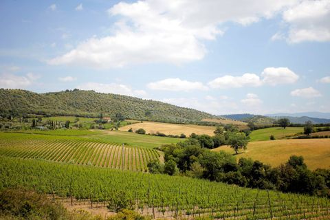 Landejendom i Grosseto, Grosseto, Grosseto - € 3.600.000 | Ref: 1214 - foto 6