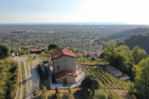 Villa i Pietrasanta, Lucca, Pietrasanta - € 1.300.000 | Ref: 1233 - foto 2