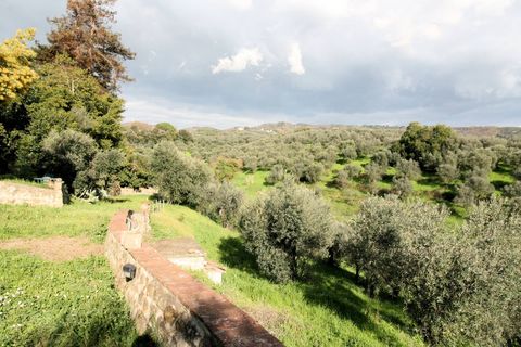Landejendom i Lamporecchio, Pistoia, Lamporecchio - € 550.000 | Ref: 1287 - foto 4
