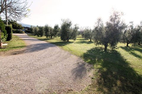 Villa i Roccastrada, Grosseto, Roccastrada - € 219.000 | Ref: 1288 - foto 12