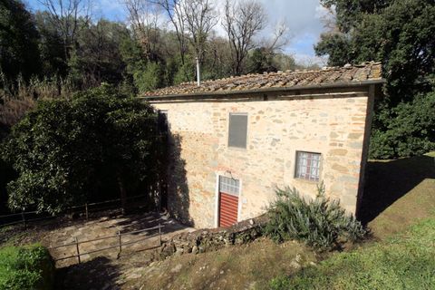 Landejendom i Lamporecchio, Pistoia, Lamporecchio - € 210.000 | Ref: 1323 - foto 3