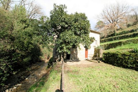 Landejendom i Lamporecchio, Pistoia, Lamporecchio - € 210.000 | Ref: 1323 - foto 5