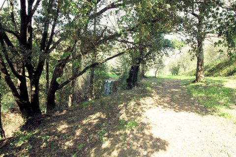 Landejendom i Lamporecchio, Pistoia, Lamporecchio - € 210.000 | Ref: 1323 - foto 7