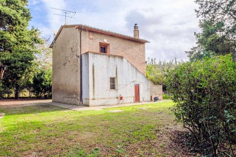 Landejendom i Volterra, Pisa, Volterra - € 300.000 | Ref: 1342 - foto 3
