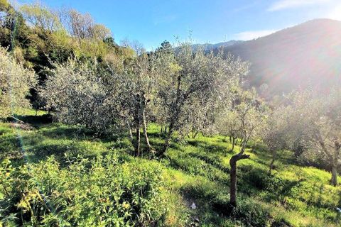 Landejendom i Pescia, Pistoia, Pescia - € 299.000 | Ref: 1343 - foto 4